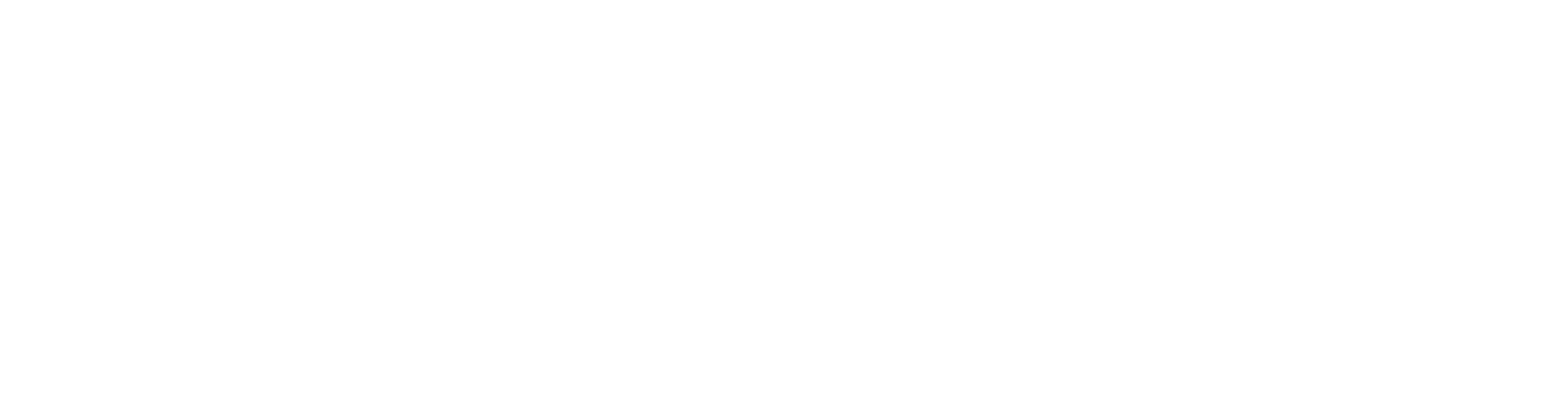 Formula Boats